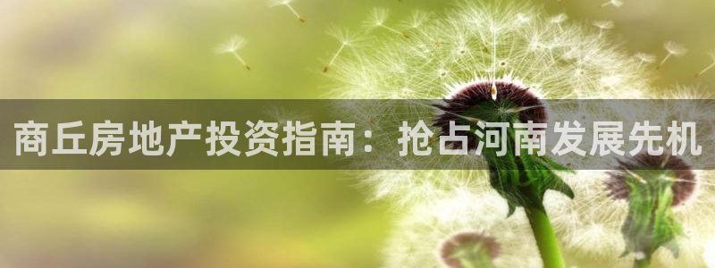 万向娱乐挂机软件