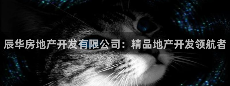 万向娱乐平台下载安装手机版