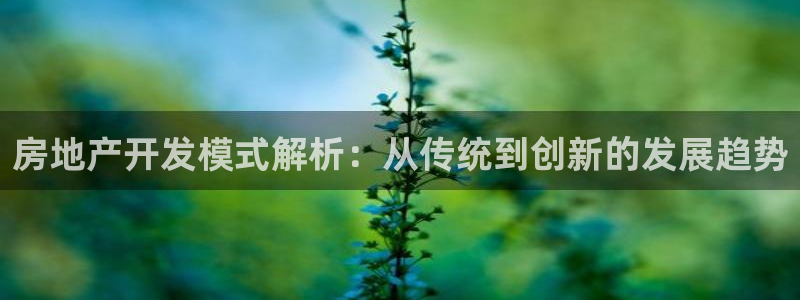 万向娱乐平台代理怎么做的