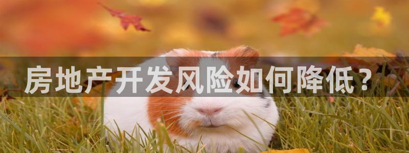 万向娱乐注册登录不了怎么办