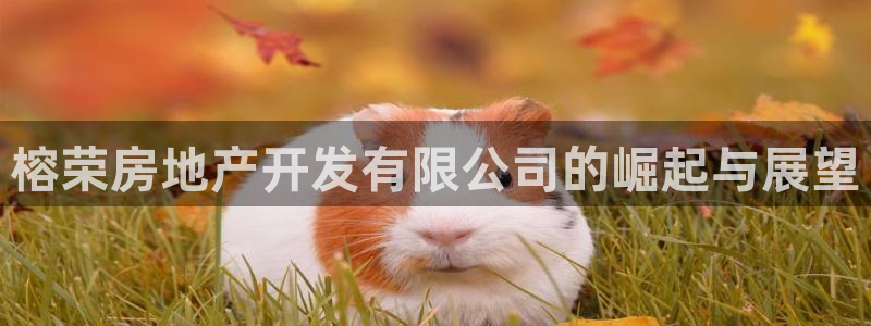 万向娱乐平台代理多少钱