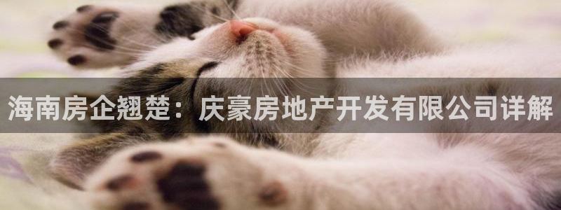 万向娱乐网址是什么