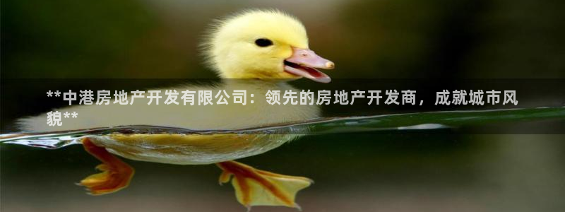 万向娱乐官网网址是多少