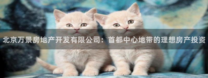 万向娱乐app下载苹果版