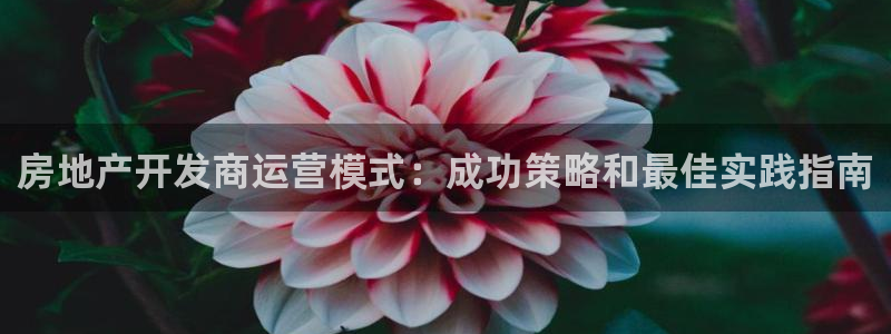 万向娱乐的494o3 主管