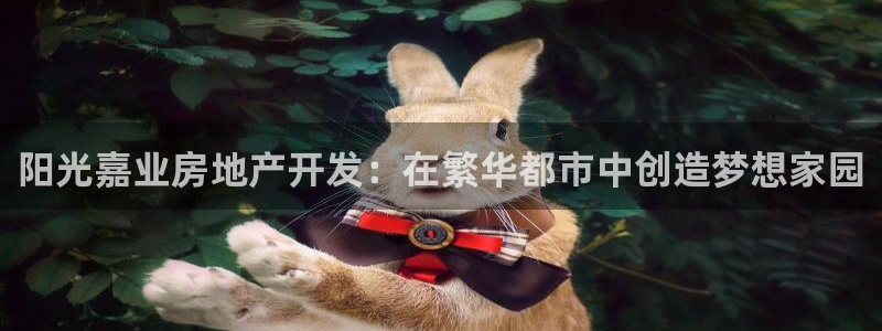 万向娱乐灯333OO