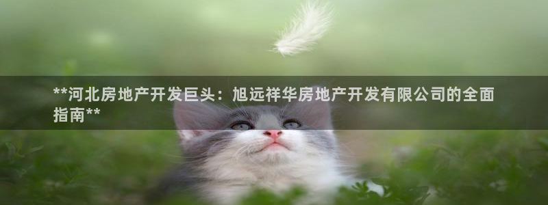 万向娱乐公司官网首页