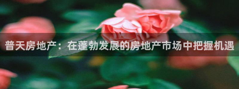 万向娱乐招商