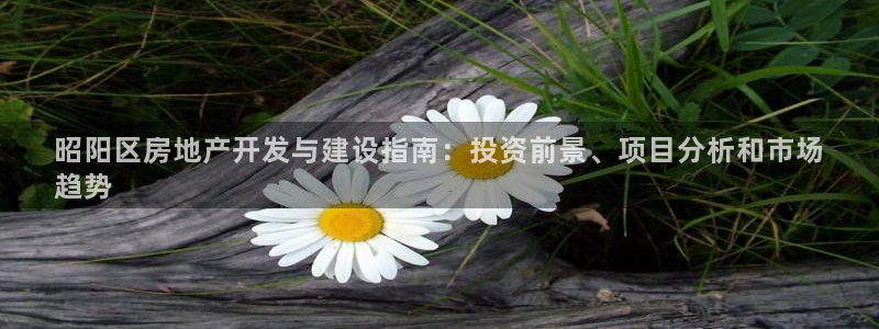 万向娱乐官网网址大全