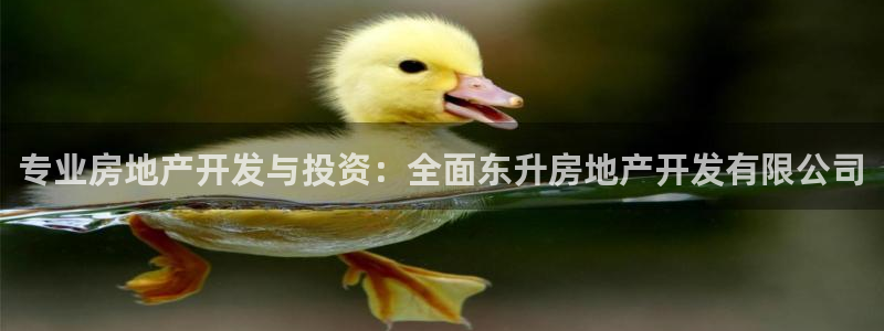 万向娱乐代理好看视频是真的吗